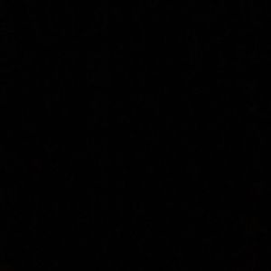 Meet your Posher, Shenelle